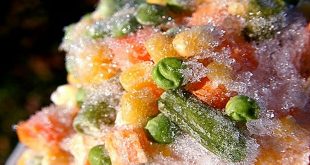 ARE FROZEN FOODS LESS NUTRITIOUS THAN FRESH FOODS
