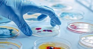 An Introduction to Microbiology and Human Disease