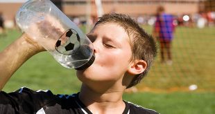 Body Temperature and Metabolism