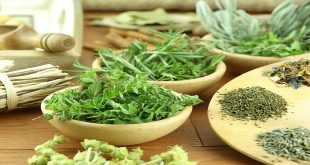 Herbs to boost libido
