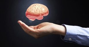 Helpful Ways To Always Take Care Of Your Brain