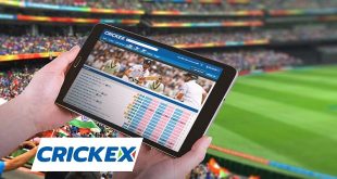 Crickex Betting App Review in India