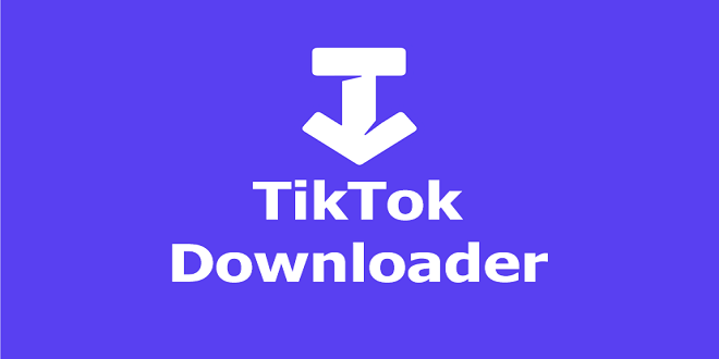 SSSTIK-The Best Tiktok Video And Twitter Video Downloader
