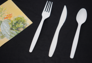 Ecosource: Revolutionizing the Industry with Biodegradable Tableware