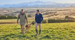 Best Agribusiness Banks in New Zealand for Specialist Rural Lending