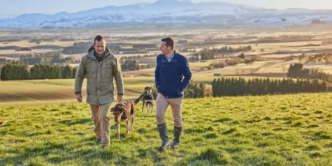 Best Agribusiness Banks in New Zealand for Specialist Rural Lending